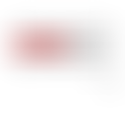 MONDAY 22ND JULY 2024 - THE PERFECT DAY: ONE MOMENT I WISH TO EXPERIENCE AGAIN