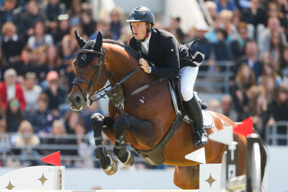 Eldorado van de Zeshoek, Annabel van't Gebergte, Amadeo van't Vossenhof, Ilusionata van't Meulenhof, Emerald stallion, Carthina Z, Diamanthina van't Ruytershof