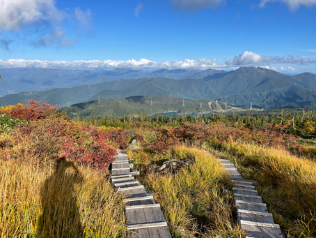 苗場山紅葉登山🥾 山頂ヒュッテ泊