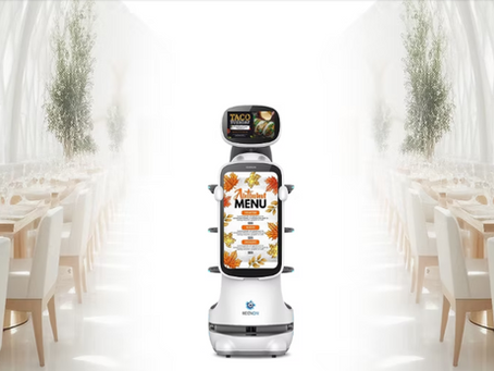 Robot Service in Hotels