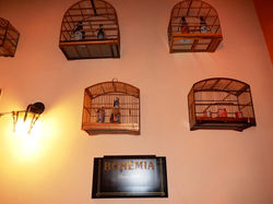 DSCN3286.jpg