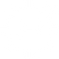 Pioneer Icon