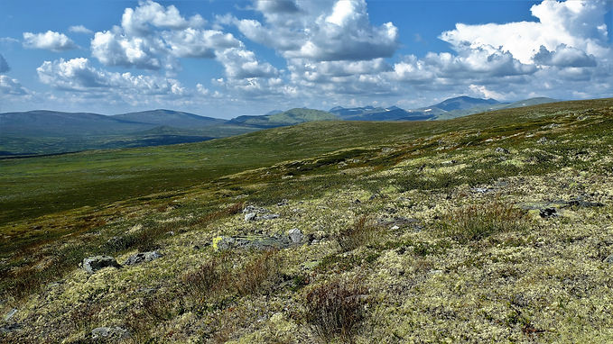 Bågåskard (15).JPG