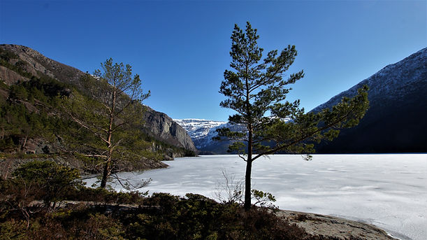 Svelgen_mit_Sørdalen_(5).JPG