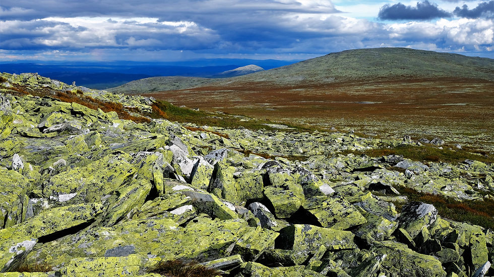Breidskardet/Storfjellet