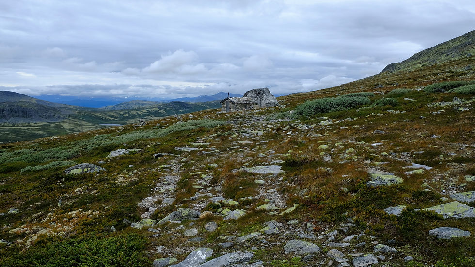 Ljosåbui
