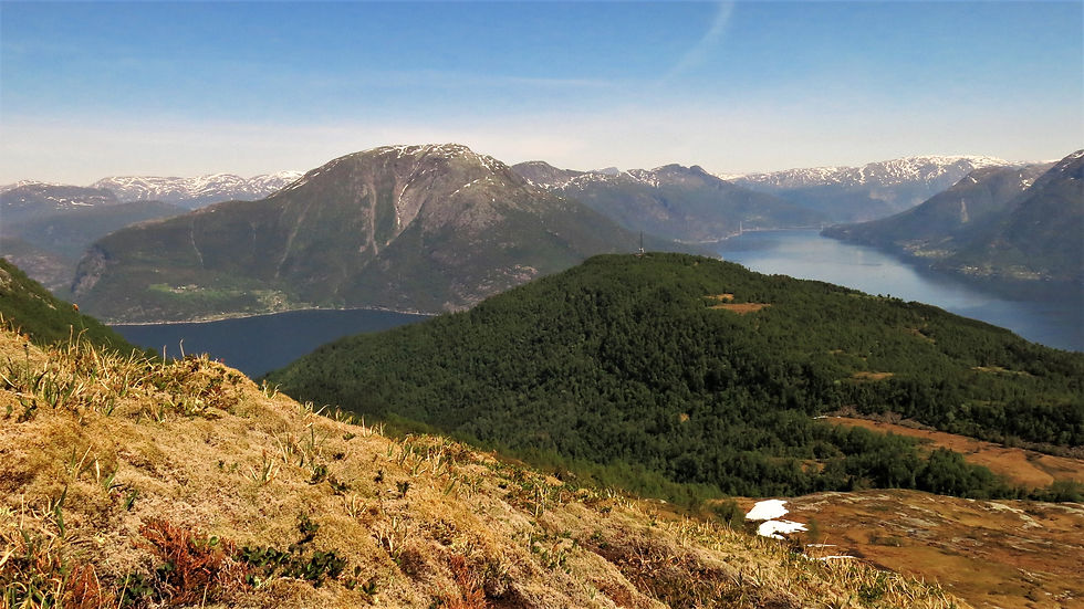 Oksen und Hardangerbrua