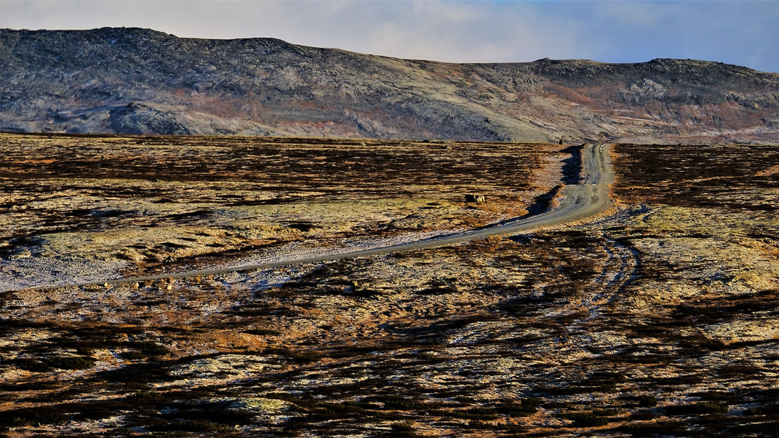 Haverdalsvegen (7).JPG