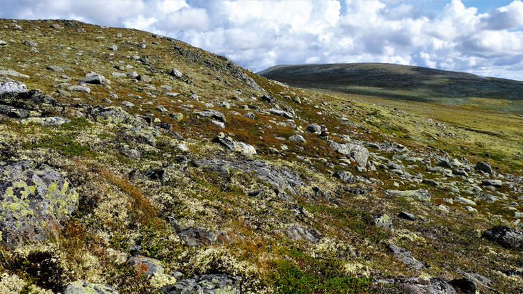 Korsberghytta (10).JPG