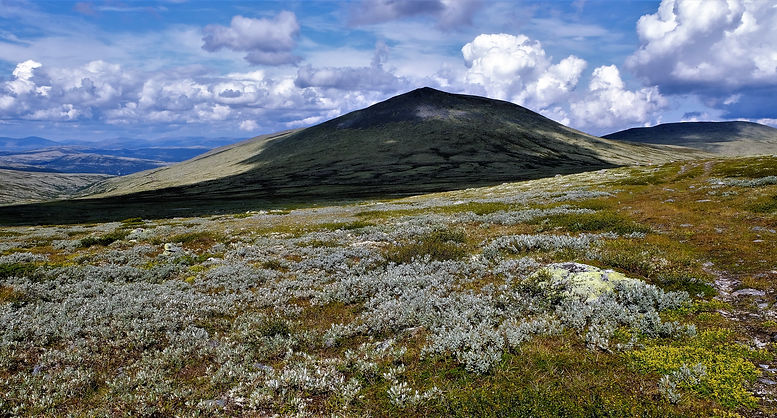 Kvislåveien (3).JPG