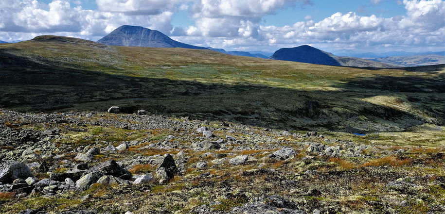 Korsberghytta (9).JPG