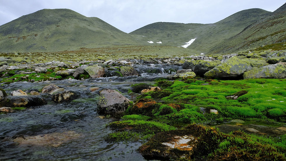 Ljosåbotn