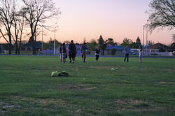 SAM_0556