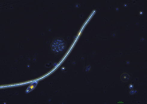 PMHEL May 2019 JC0051.tif