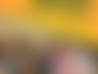 Ligas Acadêmicas cadastradas na Sonafe