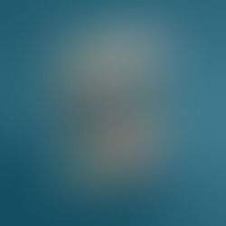 O Cérebro do Músico, Ciência e Sensibilidade