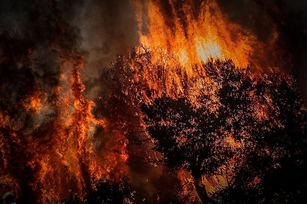 φονική πυρκαγιά στην επαρχία λεμεσού
