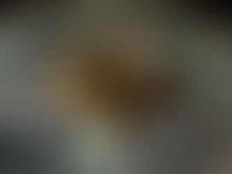 Criptoativos na mira dos hackers: como proteger seu patrimônio digital