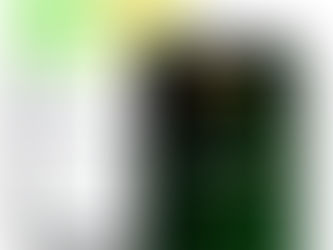 Agrotoken lança aplicativo e facilita processo de tokenização de grãos pelo WhatsApp