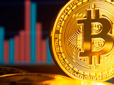 Fenynx e Foxbit lançam crédito com garantia em Bitcoin e projetam carteira de R$ 50 milhões em 12 meses