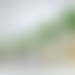 Parceria entre Arara Seed e AgroVen mira cheques maiores em rodadas de investimento no agro