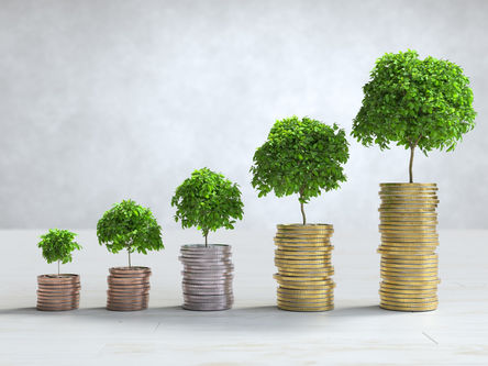 Parceria entre Arara Seed e AgroVen mira cheques maiores em rodadas de investimento no agro