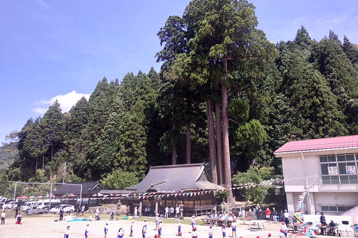 P_20190907_114446_vHDR_On.jpg