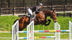 HD Jumping_edited