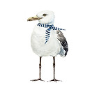 AdobeStock_332219593.jpeg