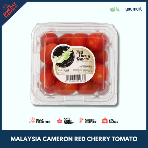Signature Malaysia Cameron Red Cherry Tomato | YouMart