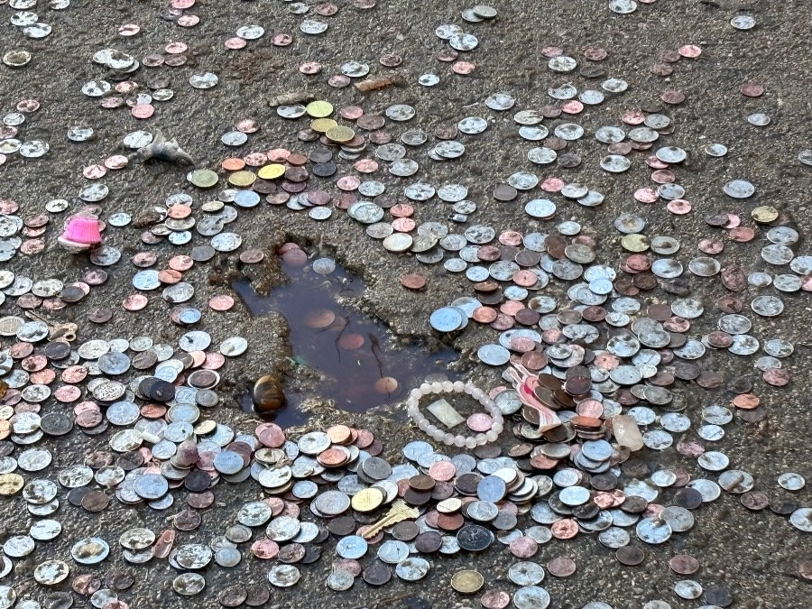 Chicago Rat Hole: A Site of Tourist Attraction and Kinship Trouble