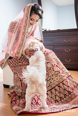 73-WED-Manisha&Rajiv-EX-LR-WM-LL6_2791