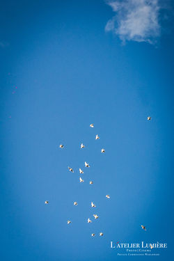 1068-WED-Arsheen&Jawad-EX-LR-WM-JAY_8474