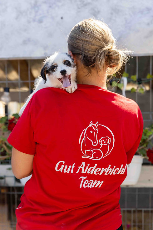 Gut Aiderbichl volunteer carrying a rescued puppy on her shoulder