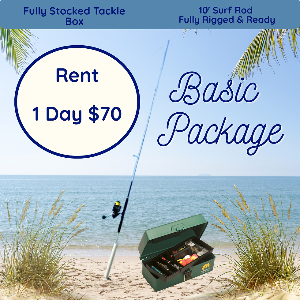 Basic Package.png