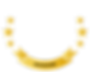 Yellow feedback icon_2-04.png