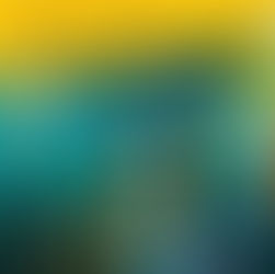 Craft Market in Teignmouth