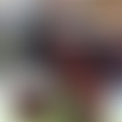 New Lamp Shade Workshops added