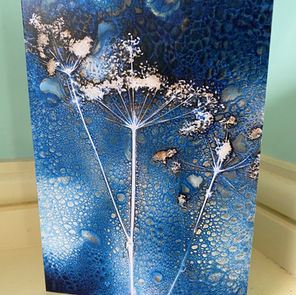 New Wet Cyanotype Umbellifer Cards