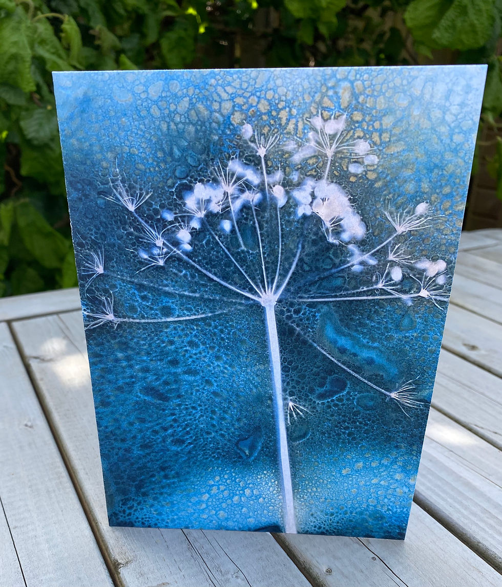 Thumbnail: Wet Cyanotype Umbellifer2 