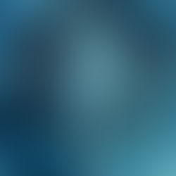 Artisan Market with Teignmakers in Shaldon