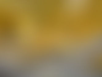 Fotografie z projektu Životu na stopě již oživují stěny prostor v ÚHKT