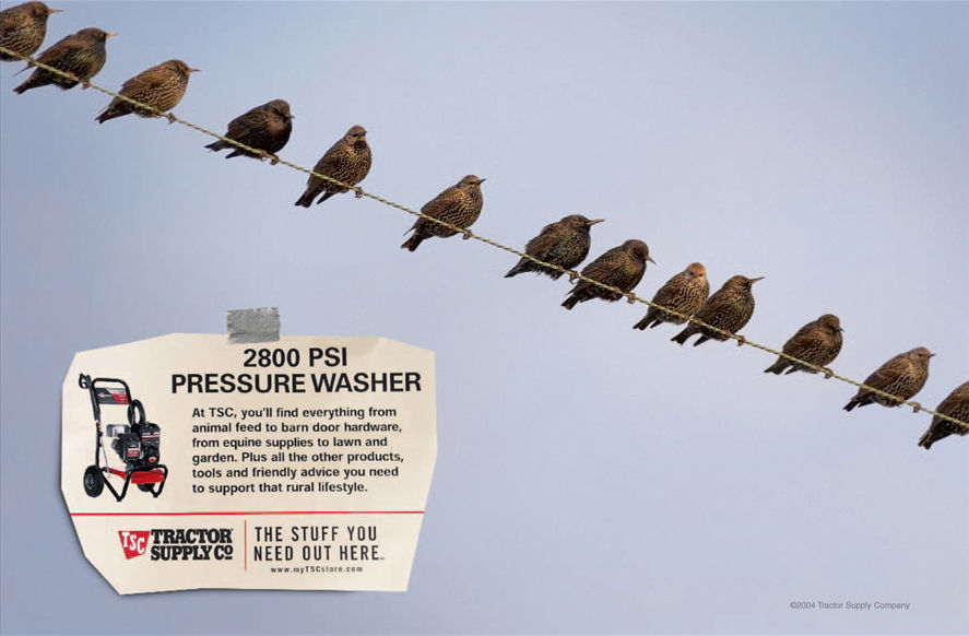 1TSCSP_0190_04_presshalfpg