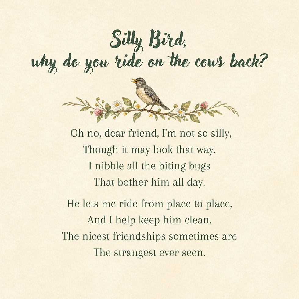 Thumbnail: Silly Bird - Signed Edition!