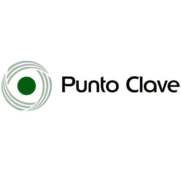 PUNTO_CLAVE