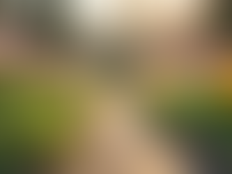 Embrace Mindful Seasonal Transitions for Self-Reflection and Gentle Goal-Setting