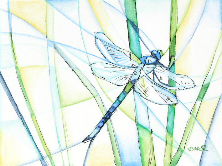 Dragonfly Watercolour Painting
