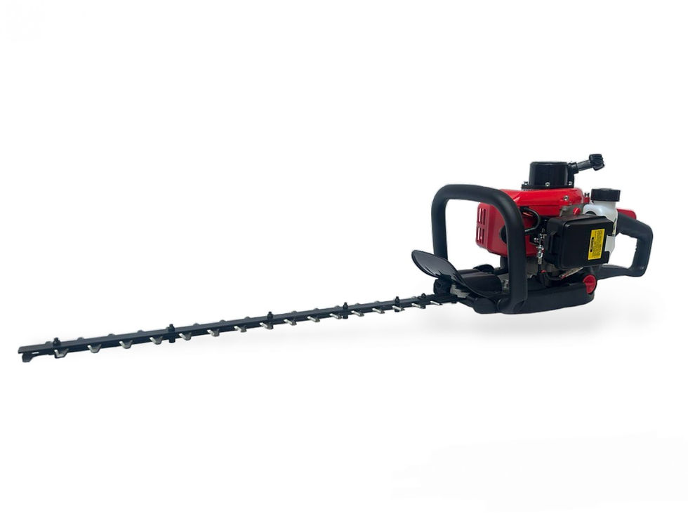 Miniatura: Tagliasiepi a Scoppio 2 Tempi