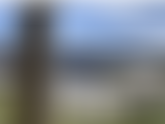 British Columbia's            Real Estate  Market