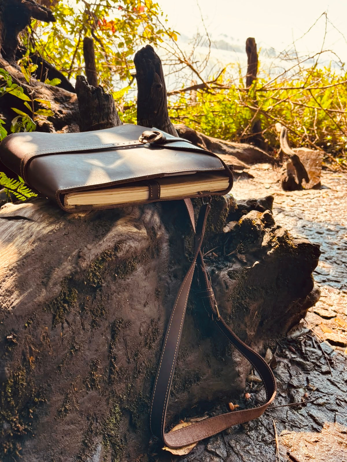 Safari Journal
